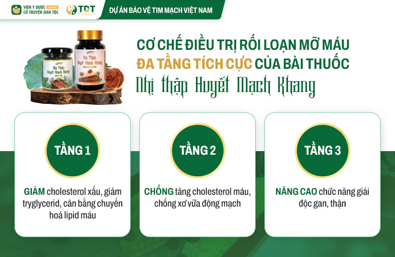 Cơ chế tác dụng của bài thuốc Nhị thập Huyết mạch khang