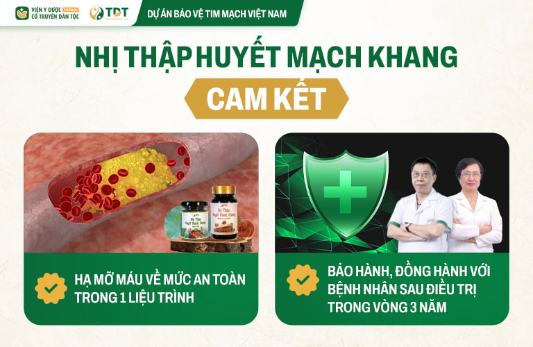 Ưu điểm chữa mỡ máu với bài thuốc Nhị thập Huyết mạch khang